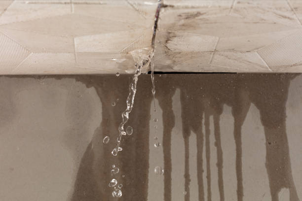 Professional Flood Damage Cleanup technician working in Deer Park, TX